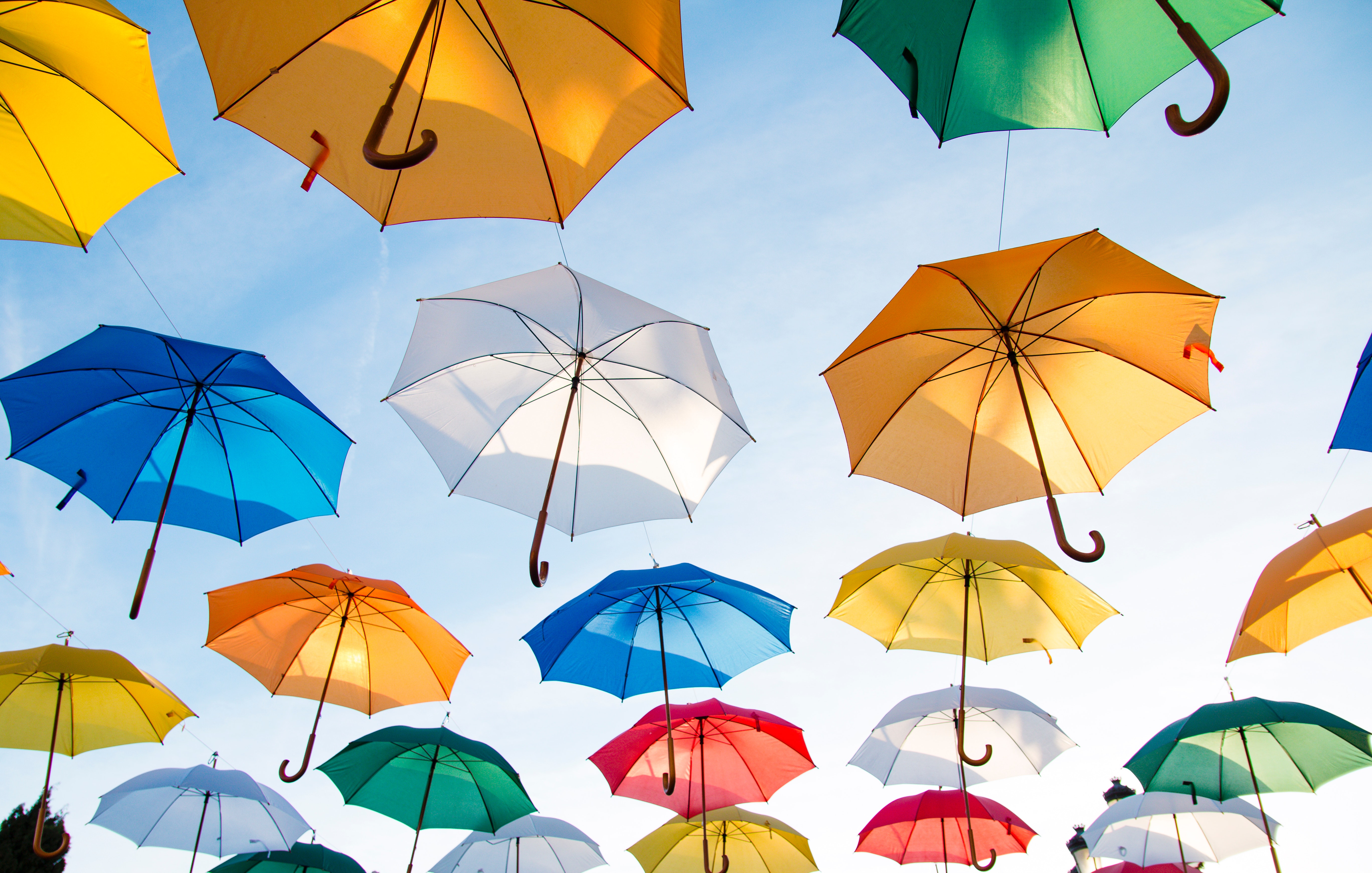 Group Umbrella Insurance – A New Benefit for AIA Virginia Members